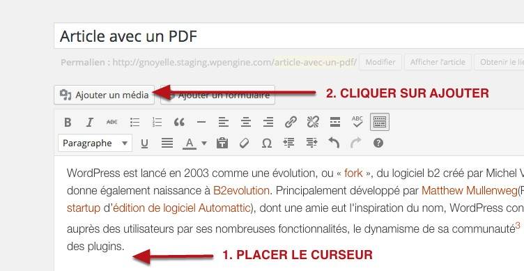 capture: AJouter un média dans un article WordPress