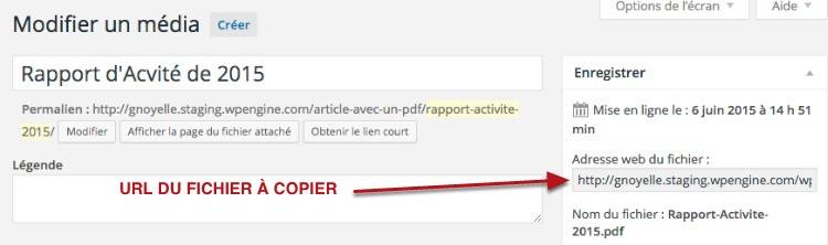 capture: Copier l'URL de votre fichier PDF dans WordPress