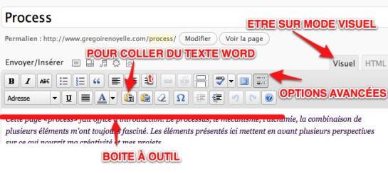 capture de la barre d'outils de WordPress