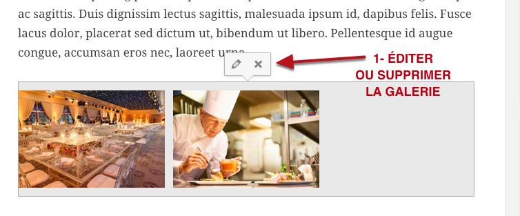 capture: Editer ou supprimer une galerie Photo dans WordPress