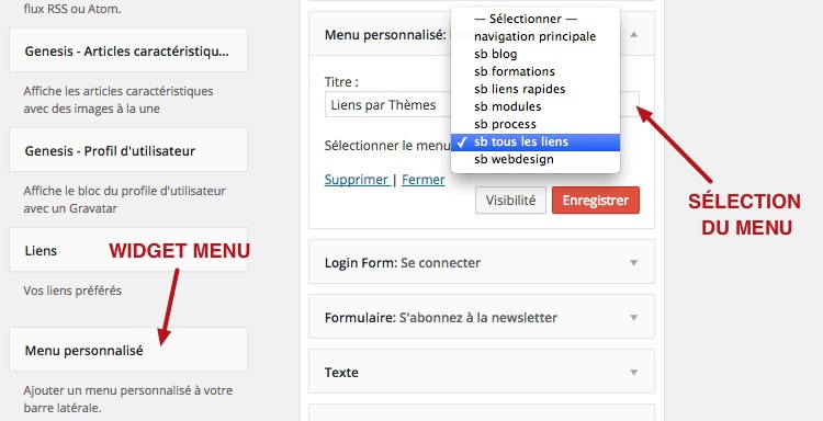 capture: Utilisation du widget Menu dans WordPress