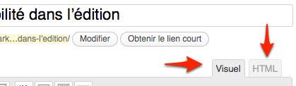 capture de: Onglet d'édition dans WordPress