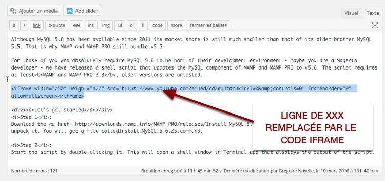 Code iframe qui remplace la ligne dans l'éditeur visuel WordPress