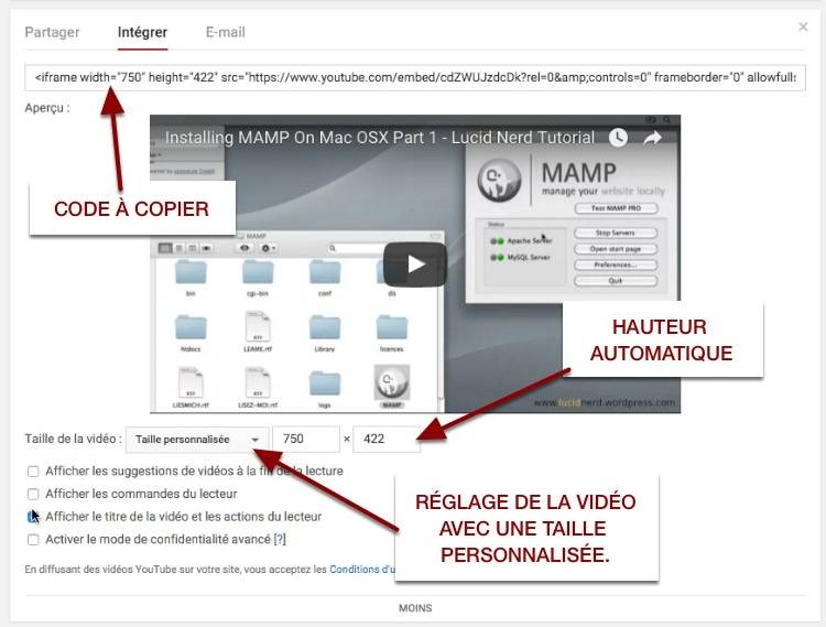 Options d'intégration de la vidéo YouTube