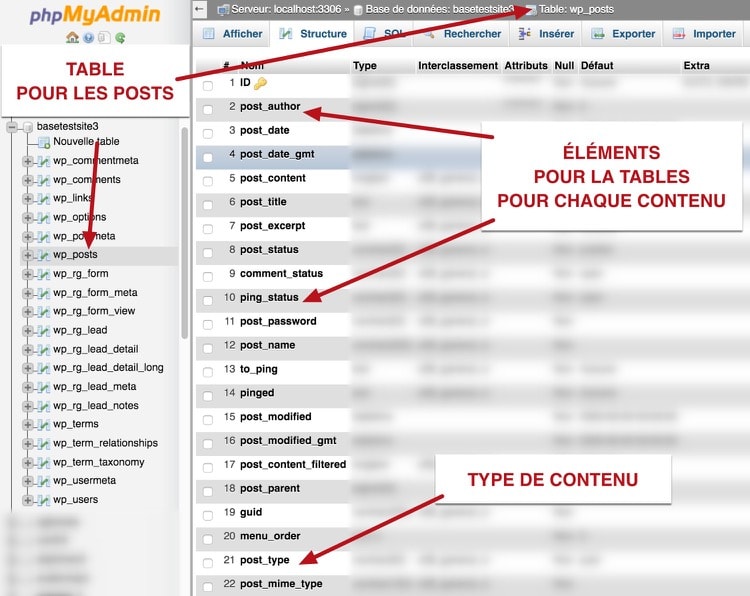 Base de données pour les différents type de post de WordPress