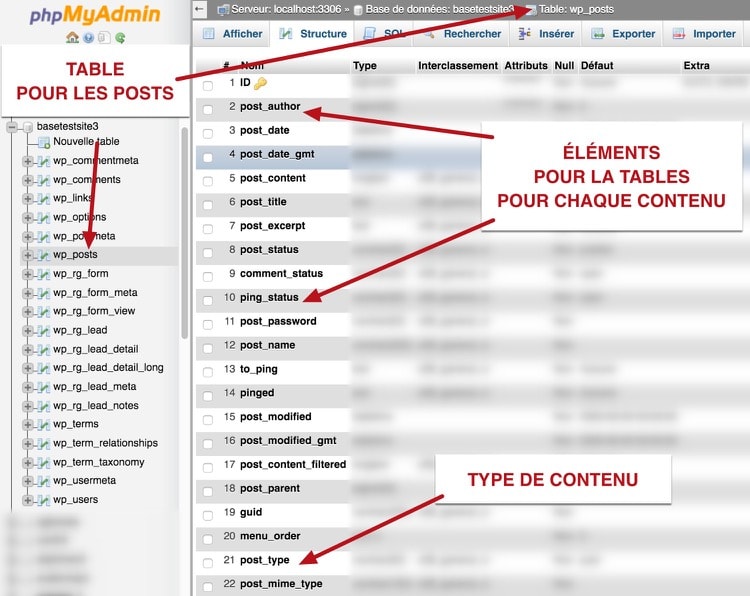 Base de données pour les différents type de post de WordPress