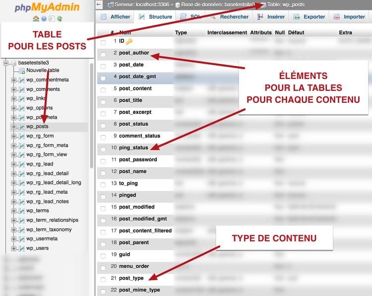 Base de données pour les différents type de post de WordPress