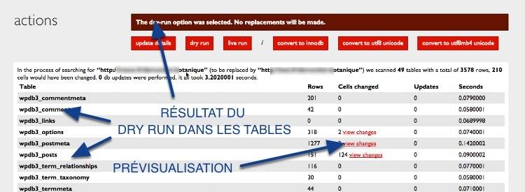 Prévisualisation de la recherche avant la migration WordPress avec Interconnectit