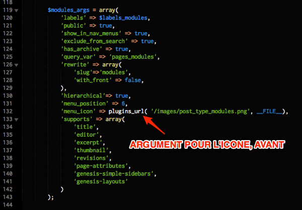 Argument pour l'icone du back-office de WordPress