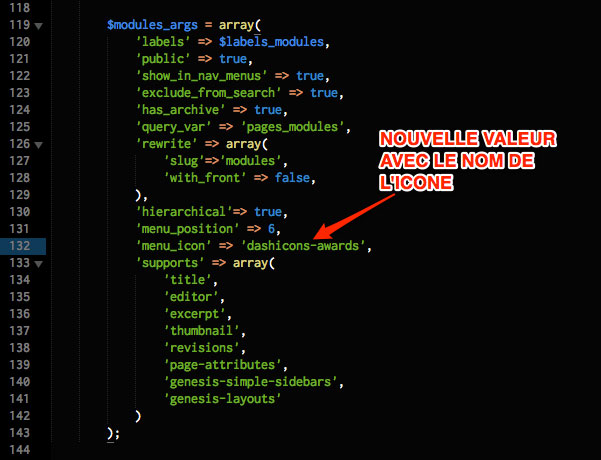 Nouvel argument pour l'icone du back-office de WordPress