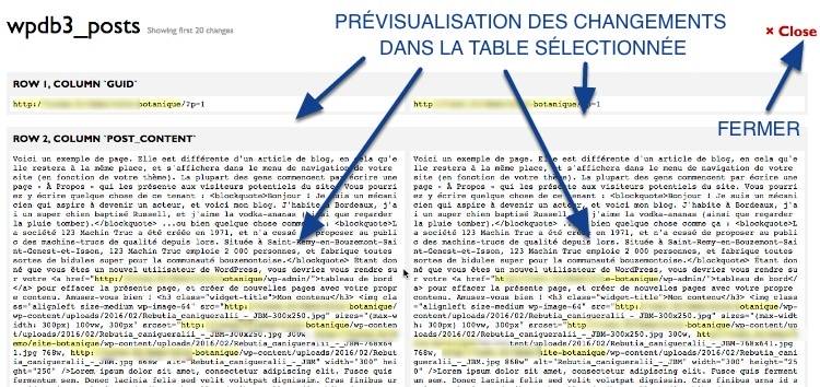 Prévisualisation complète de la recherche avant la migration WordPress avec Interconnectit