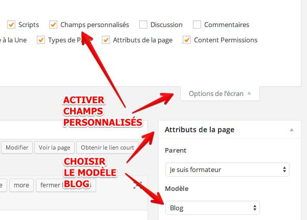 Capture: Choisir le modèle Blog dans WordPress 