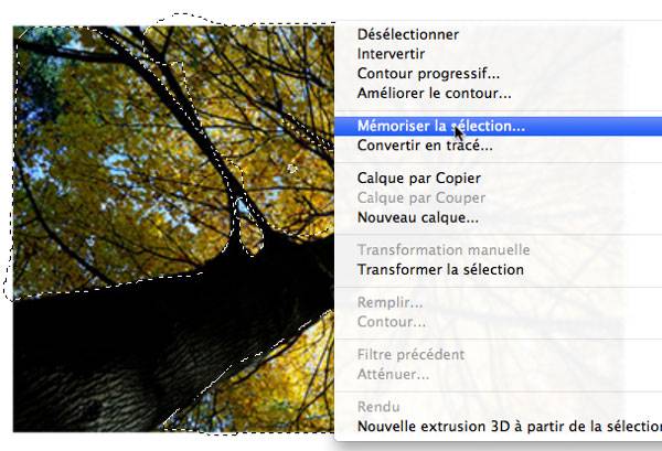 Capture: Actions possible sur une sélection dans Photoshop