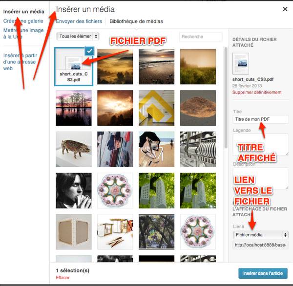 Capture: Insérer un média PDF dans WordPress