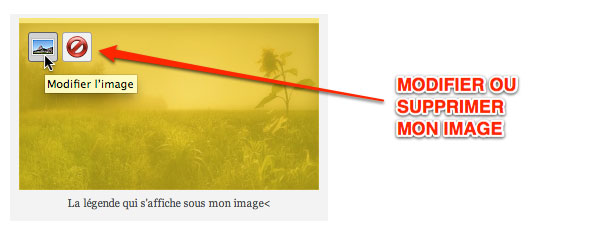 Capture: Modifier ou supprimer une image dans WordPress