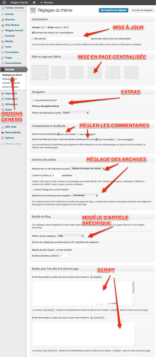 Capture: Page de réglage du thème pour le framework Genesis