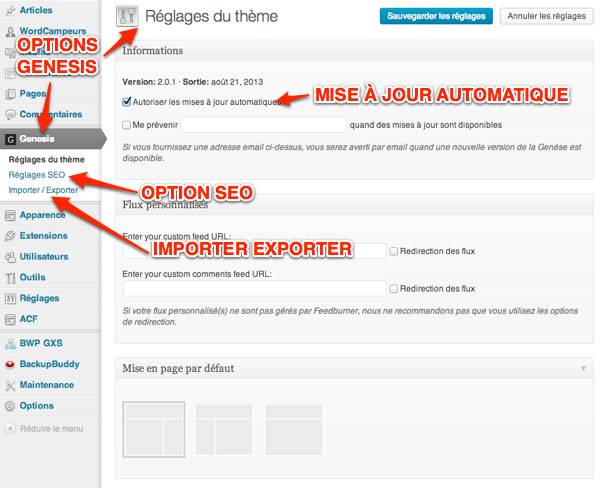 Aperçu des réglages du thème pour le framework Genesis Capture: Aperçu des réglages du thème pour le framework Genesis