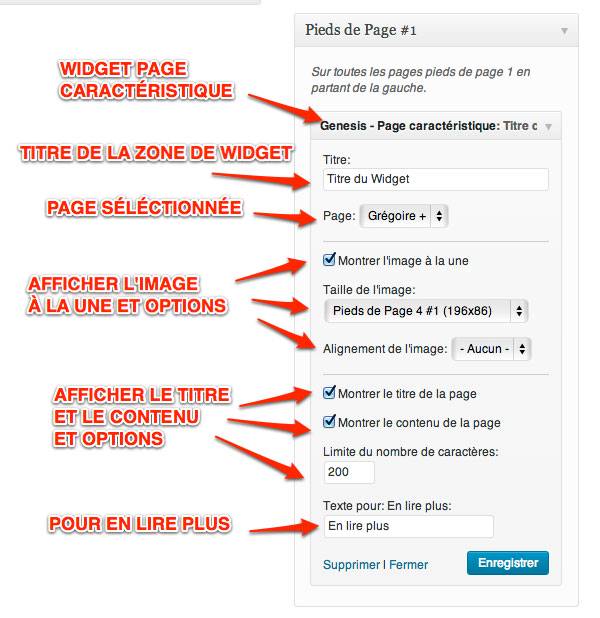 Capture: Widget Genesis Page à la Une côté Back office