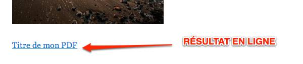 Capture: Résulat en ligne pour un lien vers un fichier PDF dans WordPress