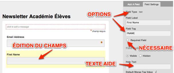 Capture: Corriger un champ dans l'éditeur de Formulaire de Mailchimp