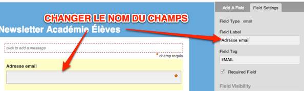 Capture: Traduire un champ de formulaire dans Mailchimp