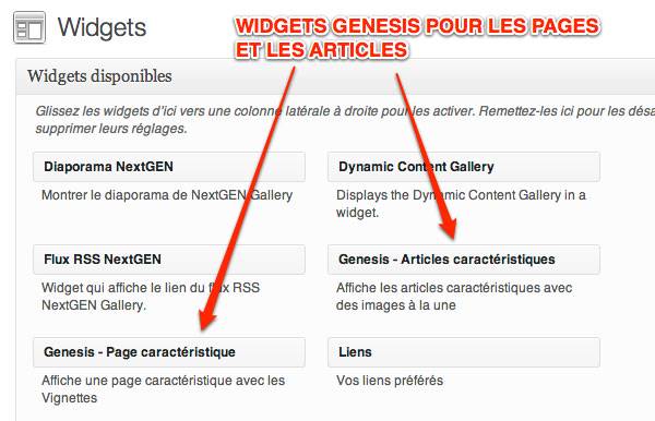 Capture: Widget Genesis pour les page et articles