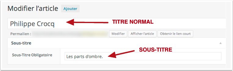 capture: Affichage des champs Avanced Custom Fields dans le front WordPress