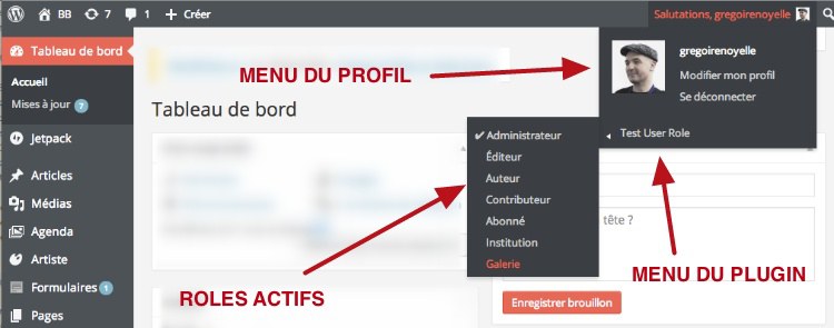 capture: Menu de Test User Role dans le back-office de WordPress