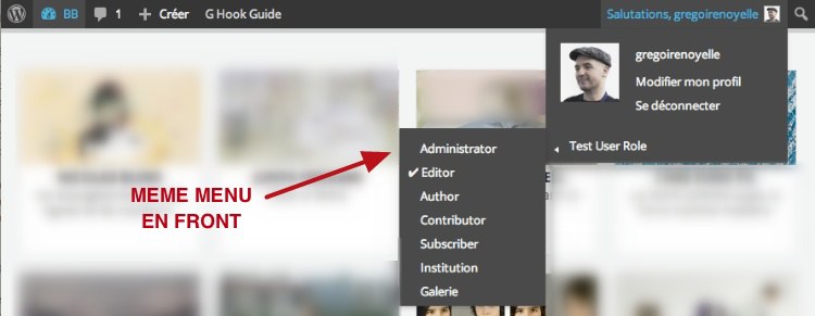 capture: Menu de Test User Role dans le front-office de WordPress
