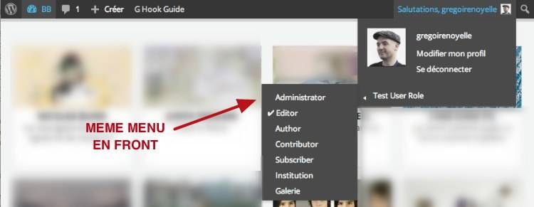 capture: Menu de Test User Role dans le front-office de WordPress