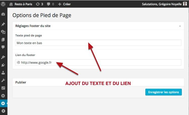 Capture: Advanced Custom Fields, options pour le footer de votre site WorPress