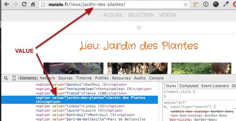 capture: Recherche par lieu dans WordPress et l'option value