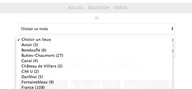 capture: Menu de recherche WordPress par mois