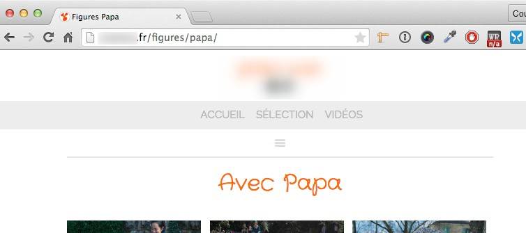 capture: Affichage du nouveau menu WordPress et son URL