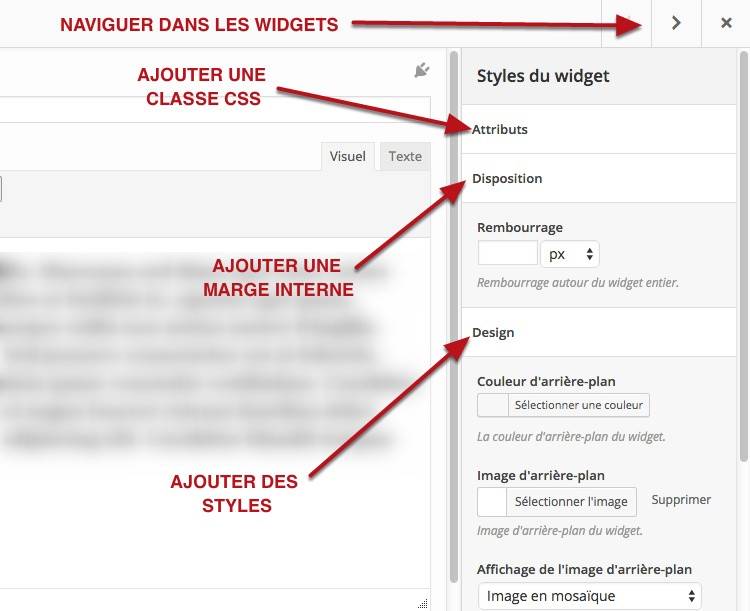 capture: Réglages avancés du Page Builder WordPress