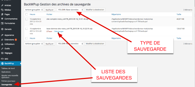 capture: Liste des sauvegardes dans BackWPUp pour WordPress