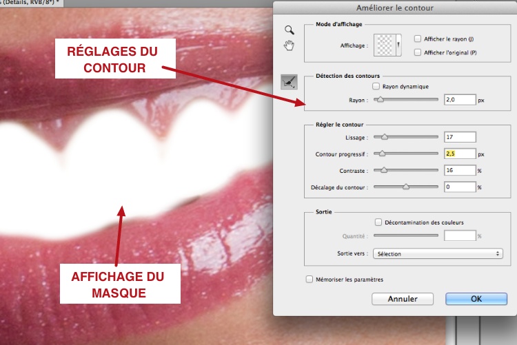 capture: Améliorer le contour du masque dans Photoshop