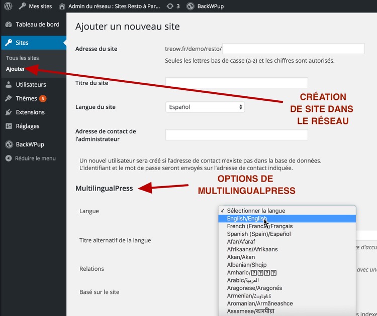 Options de langue de MultilingualPress dans le réseau WordPress