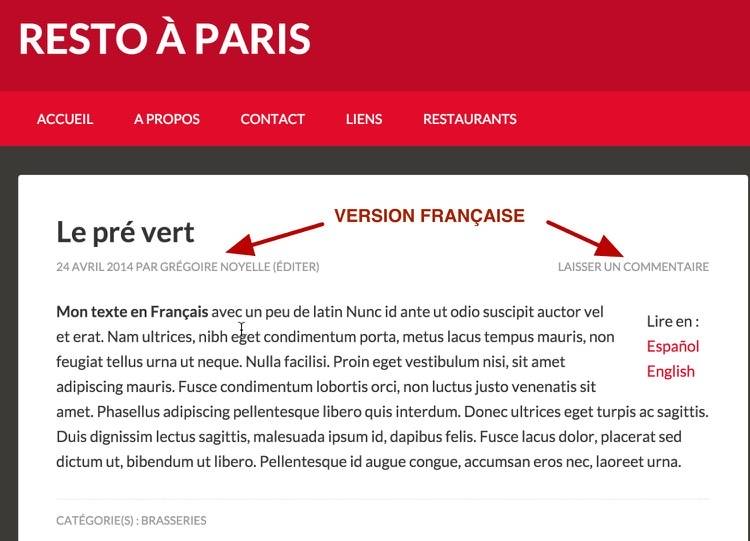 Le multilangue en français avec Genesis et WordPress