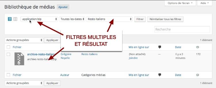 Filtre de Enhanced Media Library avec des critère multiples