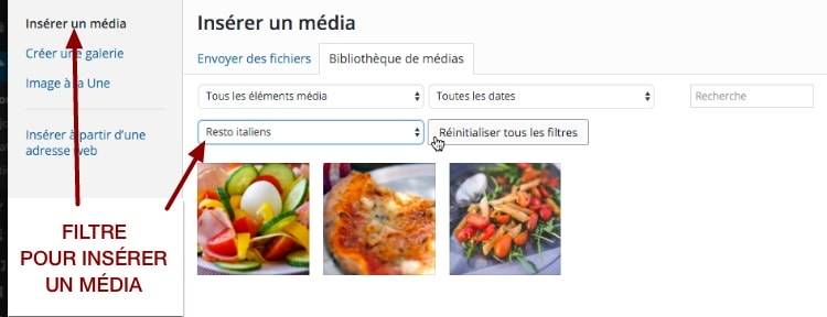 Filtre de Enhanced Media Library dans la fenêtre d'insertion de médias WordPress