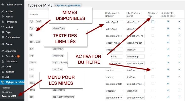 Page des types de Mimes dans l'extension WordPress Enhanced Media Library