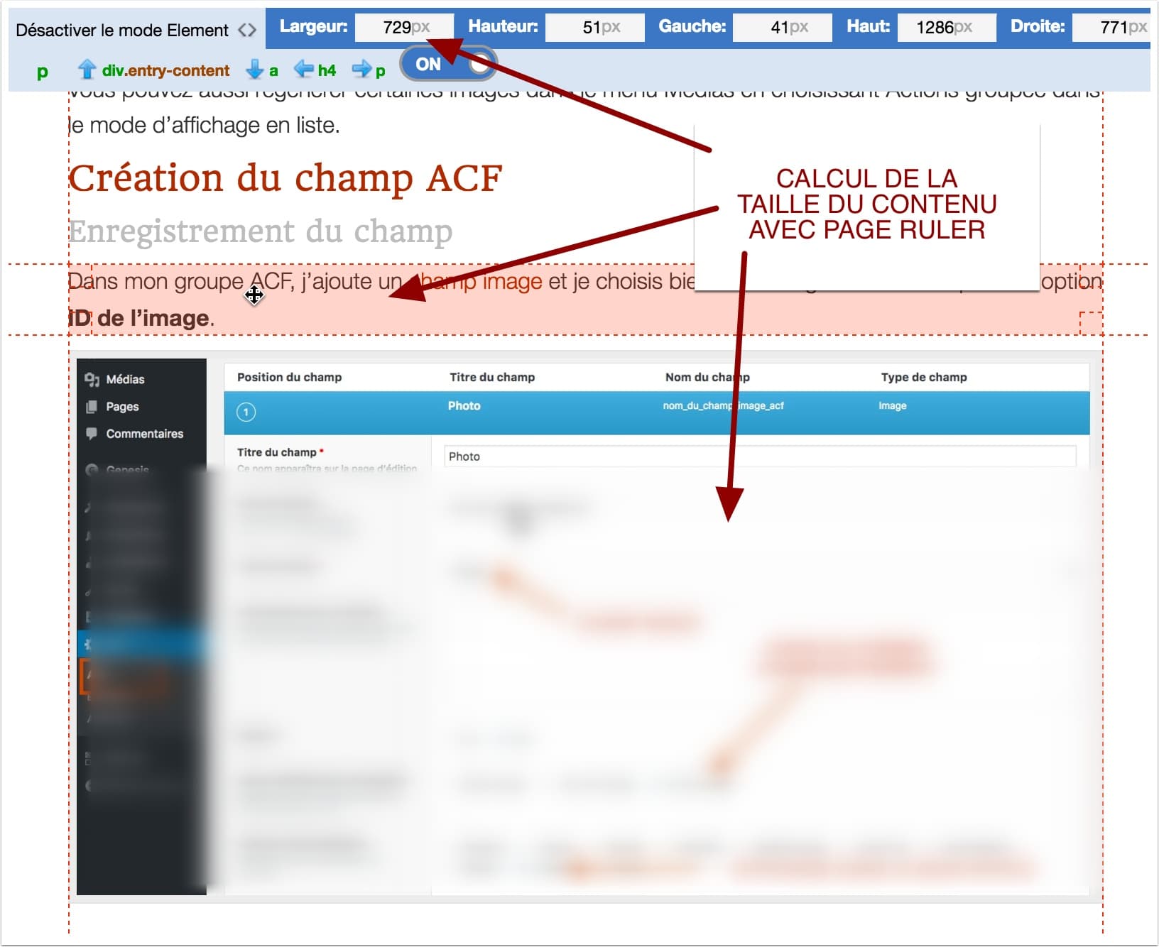 Calcul de la zone principale de votre contenu WordPress