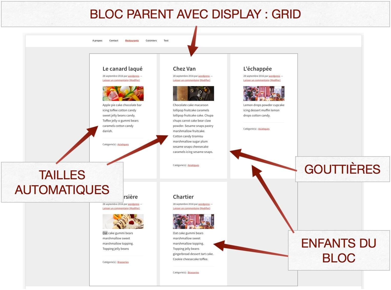 Présentation de Grid Layout CSS dans un thème WordPress