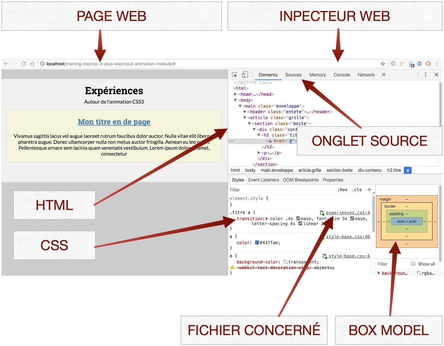 capture: Prévisualitation de l'inspecteur Web de Google Chrome