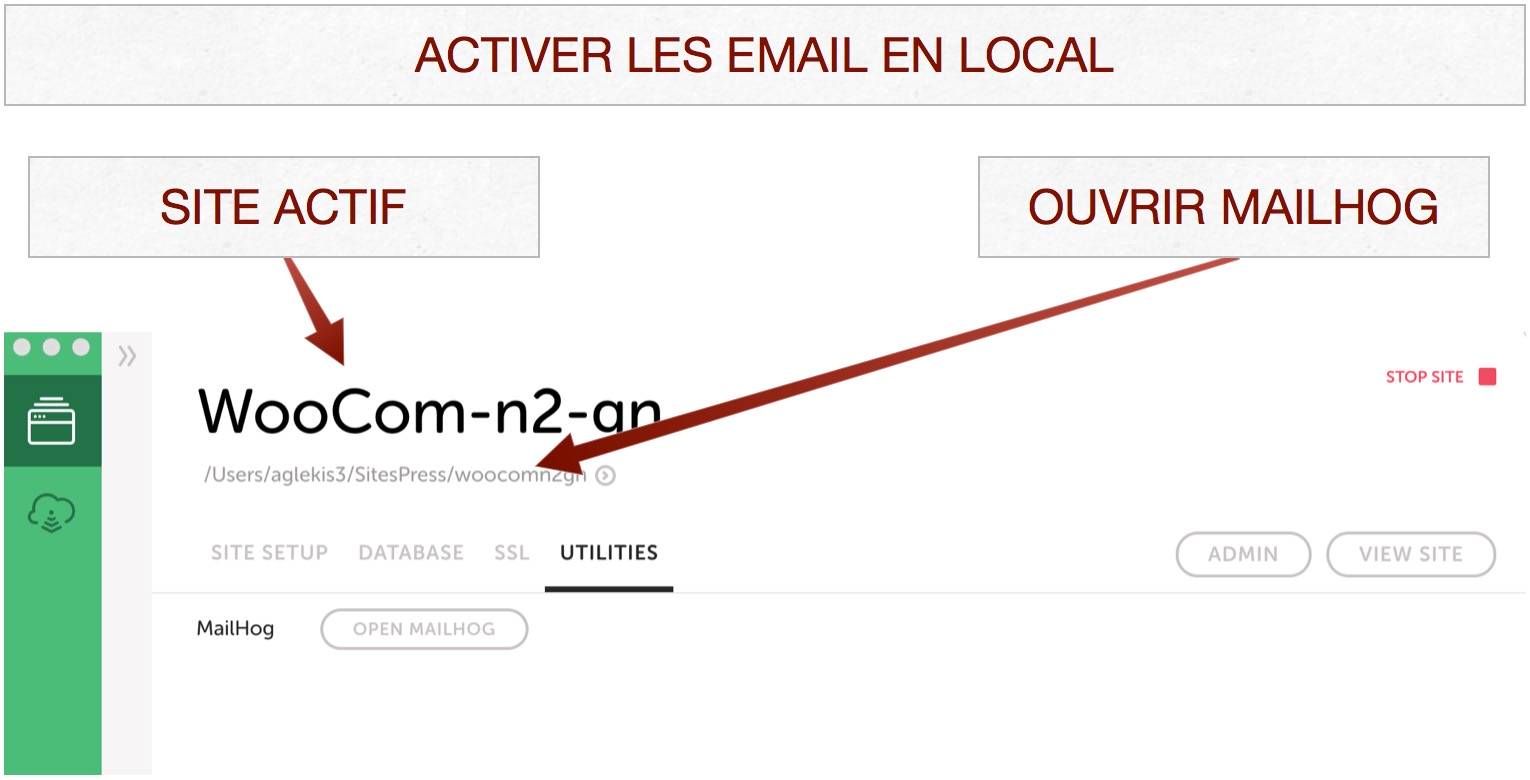 Option Mailhog dans Local de Flywheel