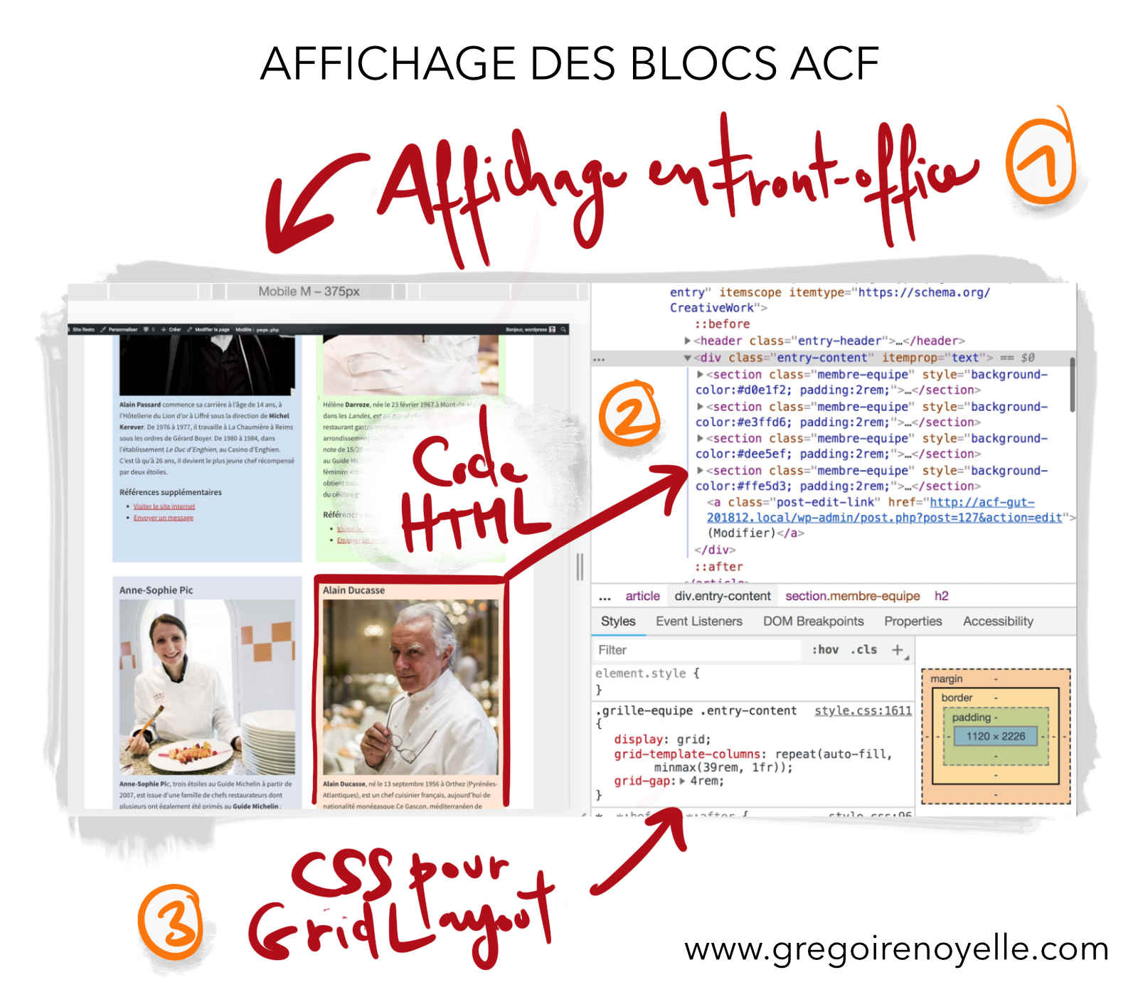 capture: Prévisualisation des blocs de l’éditeur moderne de WordPess (Gutenberg) créés avec ACF
